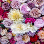 Horncastle Flower Club